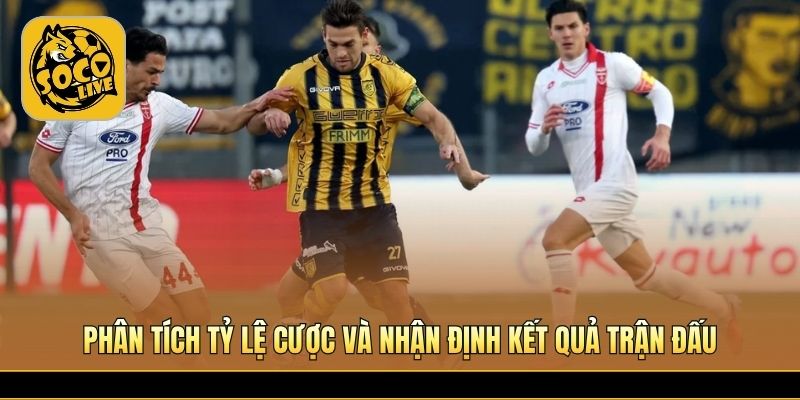 Dự đoán tỷ số play-off Serie B hấp dẫn hôm nay